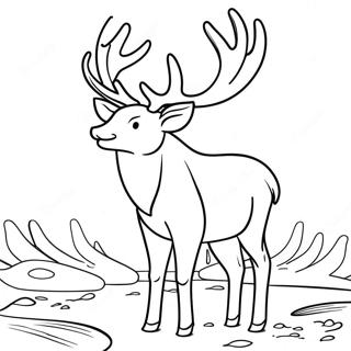 Deer Antler Coloring Pages