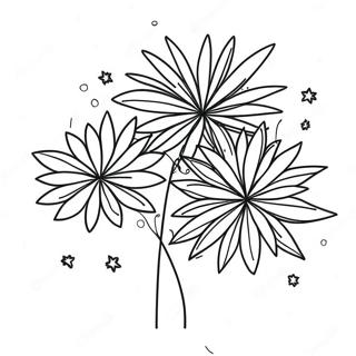 Colorful Fireworks In The Night Sky Coloring Page 7737-45561