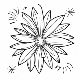 Colorful Fireworks In The Night Sky Coloring Page 7737-45563