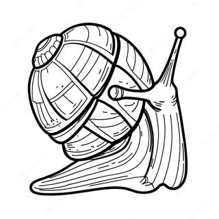 Snail Coloring Page 8506-6967