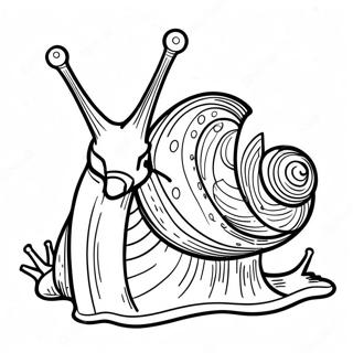 Snail Coloring Page 8506-6968