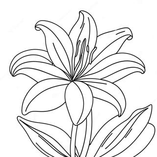 Beautiful Lily Flower In Bloom Coloring Page 8657-7096