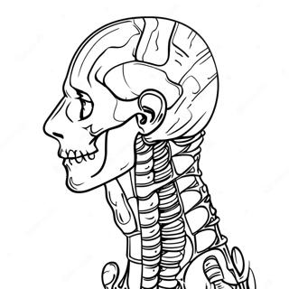 Anatomy Coloring Page 981-783