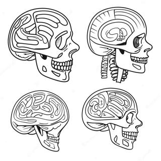 Anatomy Coloring Page 981-784