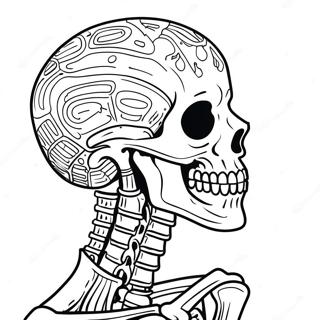 Detailed Human Skeleton Coloring Page 982-786